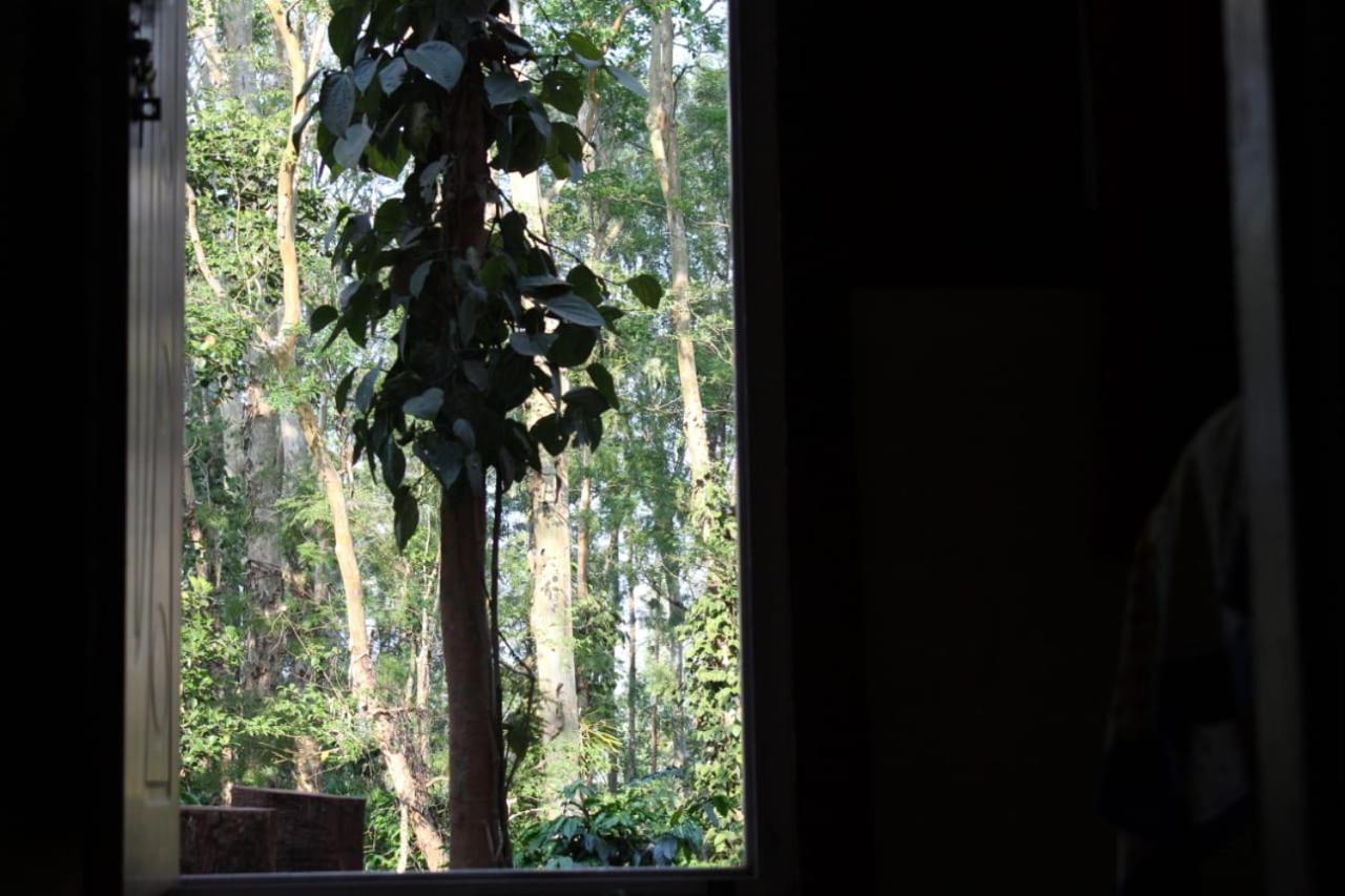 Kaikane Homestay Madikeri Kültér fotó